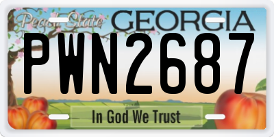 GA license plate PWN2687