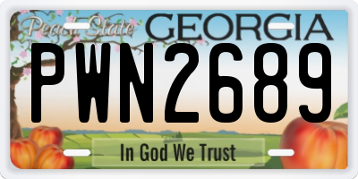GA license plate PWN2689