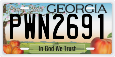 GA license plate PWN2691