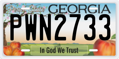 GA license plate PWN2733