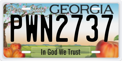 GA license plate PWN2737
