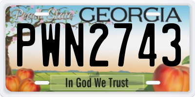 GA license plate PWN2743