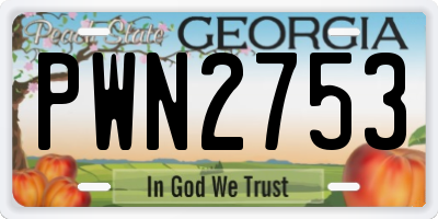 GA license plate PWN2753