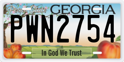 GA license plate PWN2754