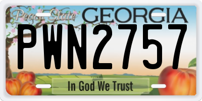 GA license plate PWN2757