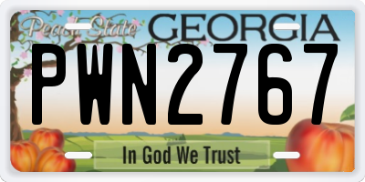 GA license plate PWN2767