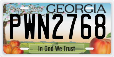 GA license plate PWN2768
