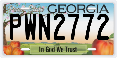 GA license plate PWN2772