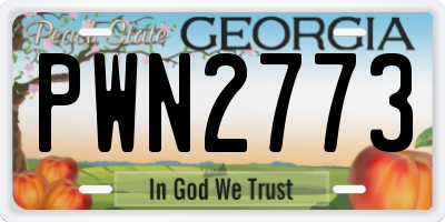 GA license plate PWN2773