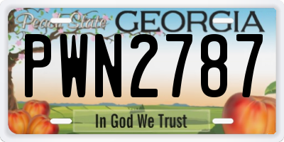 GA license plate PWN2787