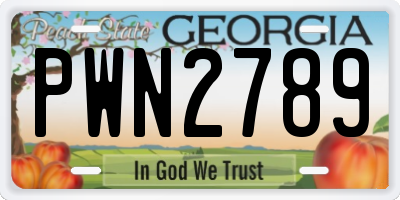 GA license plate PWN2789
