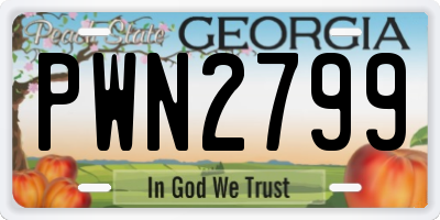 GA license plate PWN2799