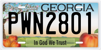 GA license plate PWN2801
