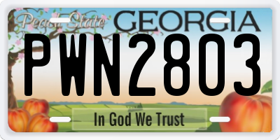 GA license plate PWN2803