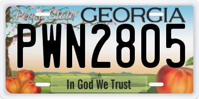 GA license plate PWN2805