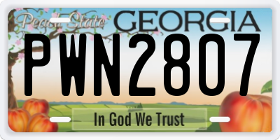 GA license plate PWN2807