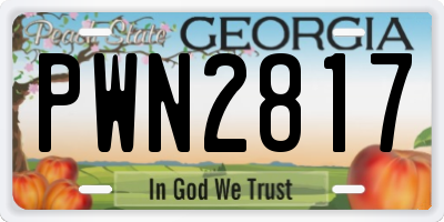 GA license plate PWN2817