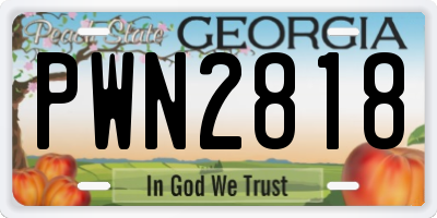 GA license plate PWN2818