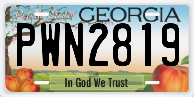 GA license plate PWN2819