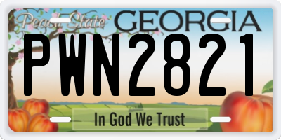 GA license plate PWN2821