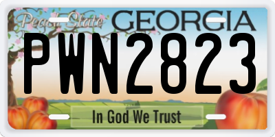 GA license plate PWN2823