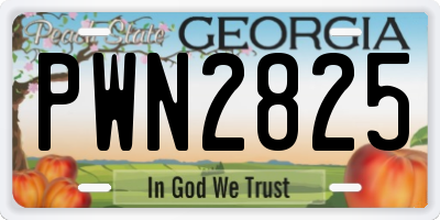 GA license plate PWN2825