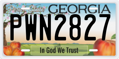 GA license plate PWN2827
