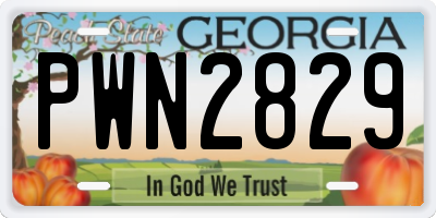 GA license plate PWN2829