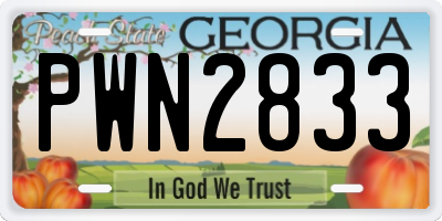 GA license plate PWN2833