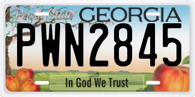 GA license plate PWN2845