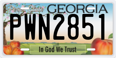 GA license plate PWN2851