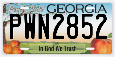 GA license plate PWN2852
