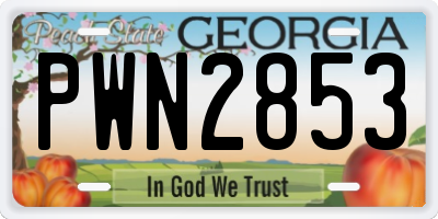 GA license plate PWN2853