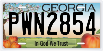 GA license plate PWN2854