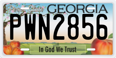 GA license plate PWN2856