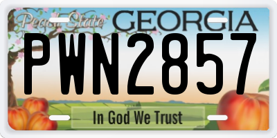 GA license plate PWN2857