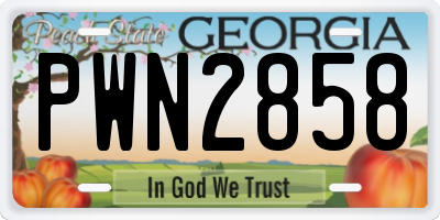 GA license plate PWN2858