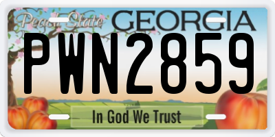 GA license plate PWN2859
