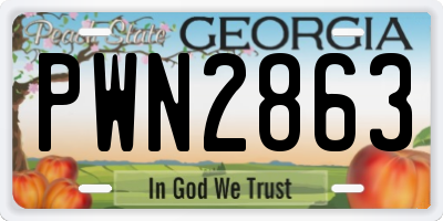 GA license plate PWN2863