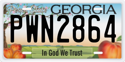 GA license plate PWN2864