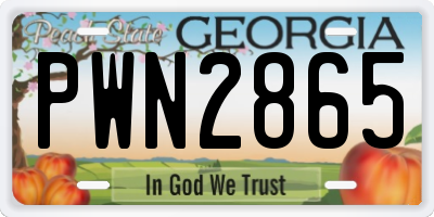 GA license plate PWN2865
