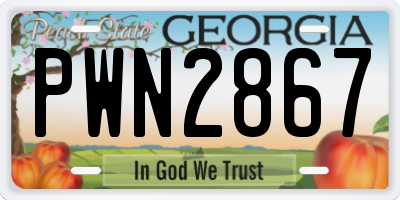 GA license plate PWN2867