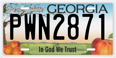 GA license plate PWN2871
