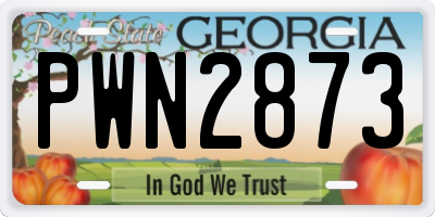 GA license plate PWN2873