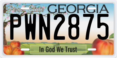 GA license plate PWN2875