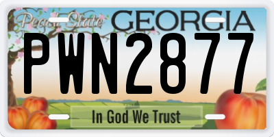 GA license plate PWN2877