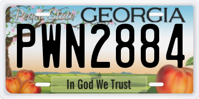 GA license plate PWN2884