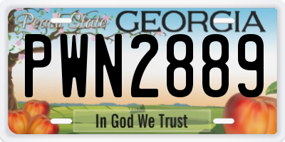 GA license plate PWN2889