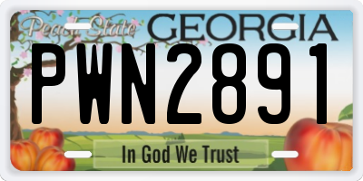 GA license plate PWN2891