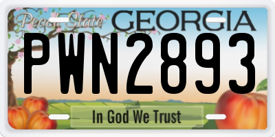 GA license plate PWN2893